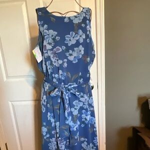 Coldwater Creek Blue Floral Dress